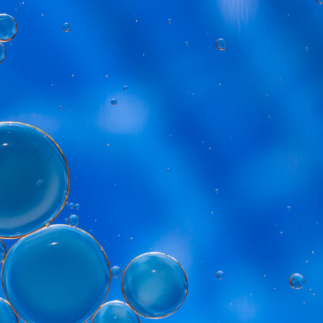 "Blue Wallpaper" by Mark Fox - £21.00 "Blue Wallpaper" stock image