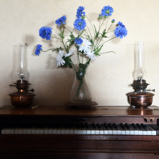 "Keyboard, lamps and flowers" stock image