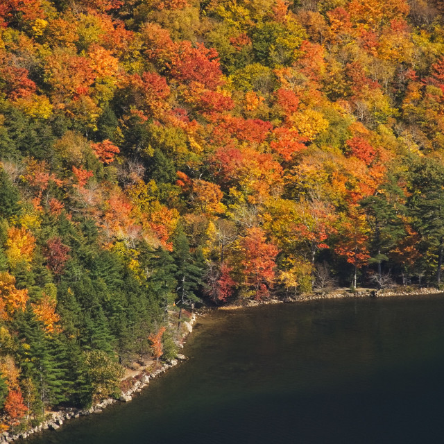 "Autumn from Above" stock image