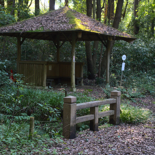 "Forest Hut" stock image