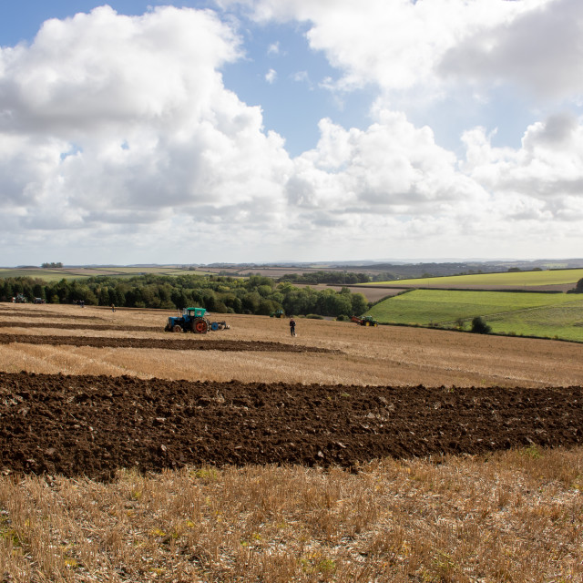 "Puddletown YFC Ploughing Match 2021" by Dorset Rural Photography - £5.00 "Puddletown YFC Ploughing Match 2021" stock image