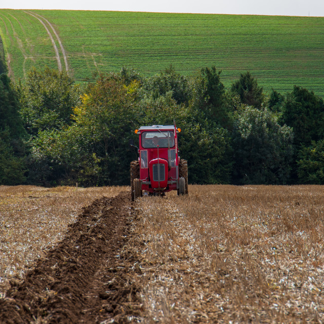 "Puddletown YFC Ploughing Match 2021" by Dorset Rural Photography - £5.00 "Puddletown YFC Ploughing Match 2021" stock image