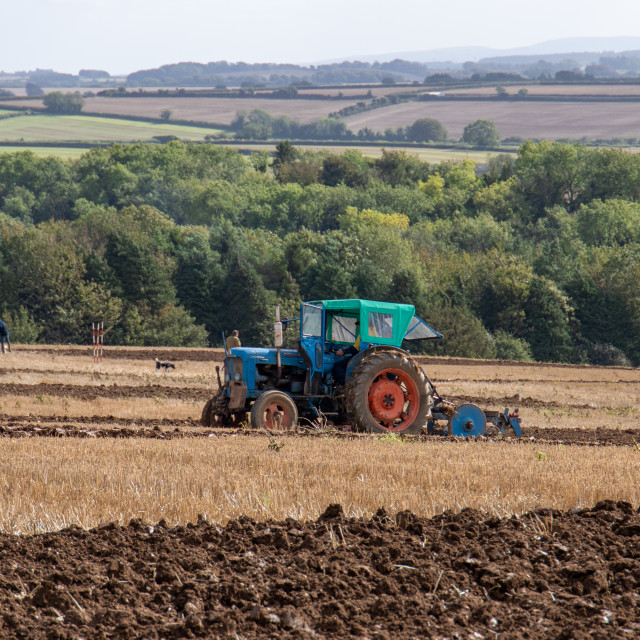 "Puddletown YFC Ploughing Match 2021" by Dorset Rural Photography - £5.00 "Puddletown YFC Ploughing Match 2021" stock image