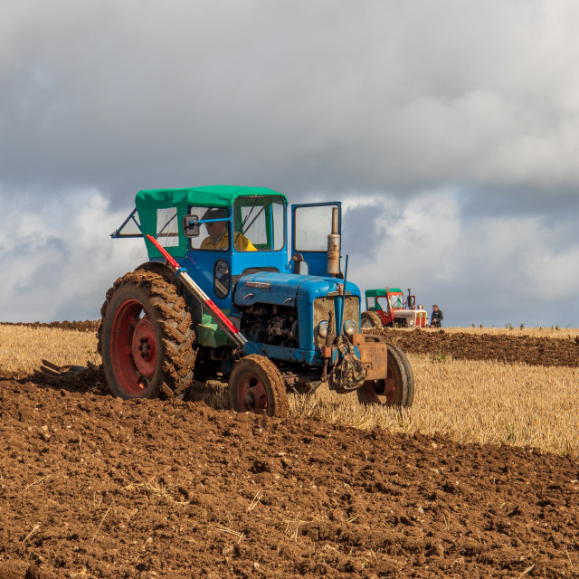 "Puddletown YFC Ploughing Match 2021" by Dorset Rural Photography - £5.00 "Puddletown YFC Ploughing Match 2021" stock image