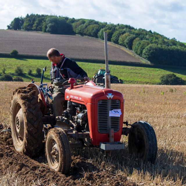 "Puddletown YFC Ploughing Match 2021" by Dorset Rural Photography - £5.00 "Puddletown YFC Ploughing Match 2021" stock image