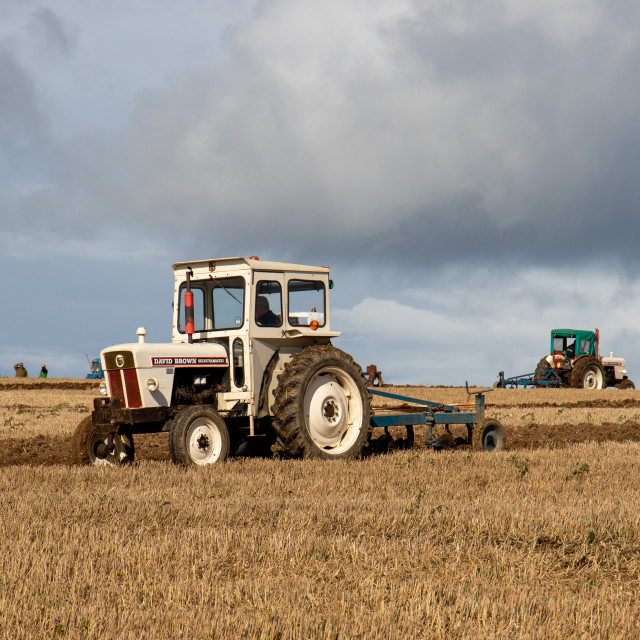 "Puddletown YFC Ploughing Match 2021" by Dorset Rural Photography - £5.00 "Puddletown YFC Ploughing Match 2021" stock image