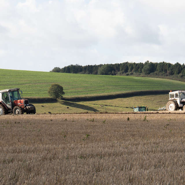 "Puddletown YFC Ploughing Match 2021" by Dorset Rural Photography - £5.00 "Puddletown YFC Ploughing Match 2021" stock image
