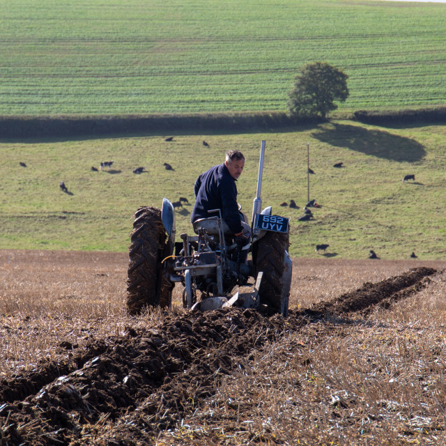 "Puddletown YFC Ploughing Match 2021" by Dorset Rural Photography - £5.00 "Puddletown YFC Ploughing Match 2021" stock image