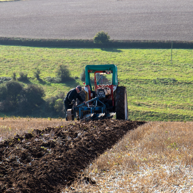 "Puddletown YFC Ploughing Match 2021" by Dorset Rural Photography - £5.00 "Puddletown YFC Ploughing Match 2021" stock image