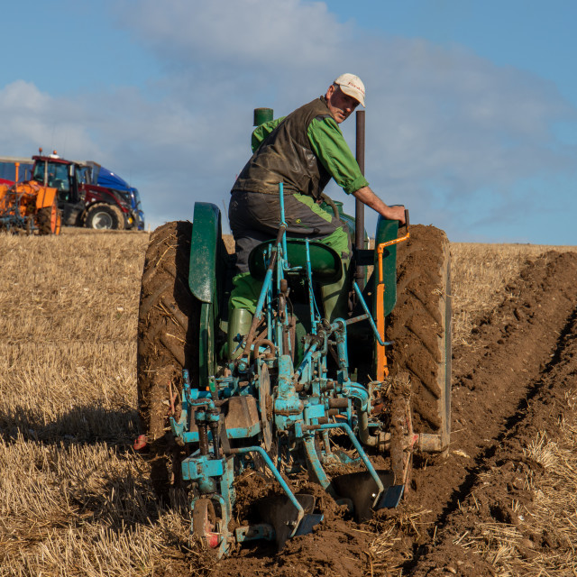 "Puddletown YFC Ploughing Match 2021" by Dorset Rural Photography - £5.00 "Puddletown YFC Ploughing Match 2021" stock image