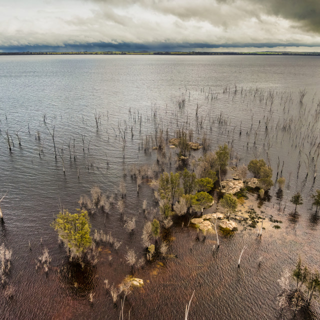 "Lake Dumbleyung 1" stock image