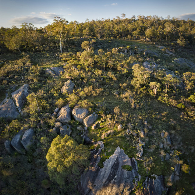 "Sunlit Bush Hillside" stock image