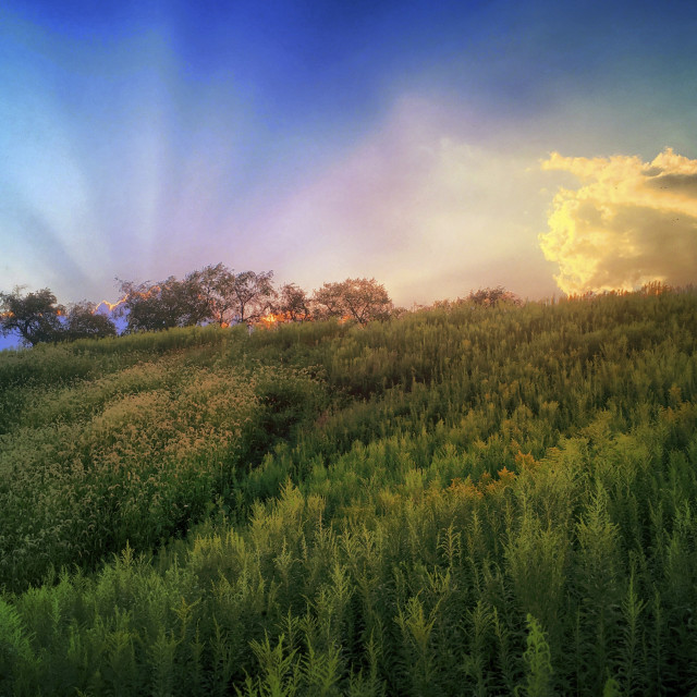 "Late Summer" stock image