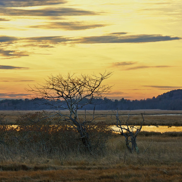 "Plum Island Sunset" stock image