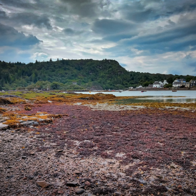 "Plockton, Scotland." stock image