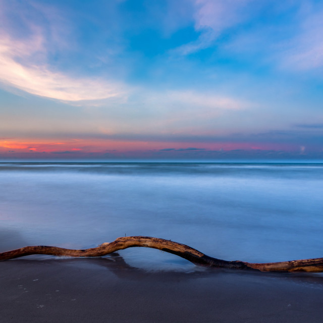 "Trunk at sunset at sea III" by Expvisual Filmmaking and Photography SAS de CV - $3.76 "Trunk at sunset at sea III" stock image