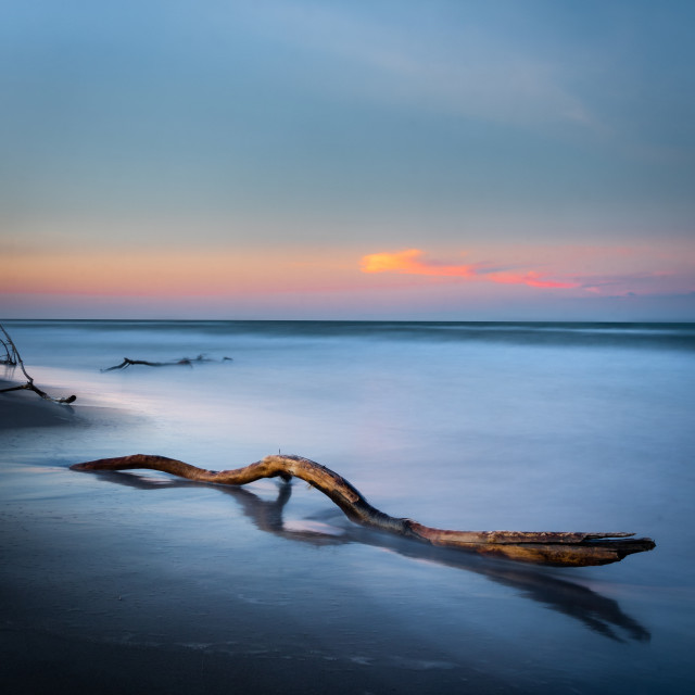 "Trunk at sunset at sea I" by Expvisual Filmmaking and Photography SAS de CV - $17.28 "Trunk at sunset at sea I" stock image
