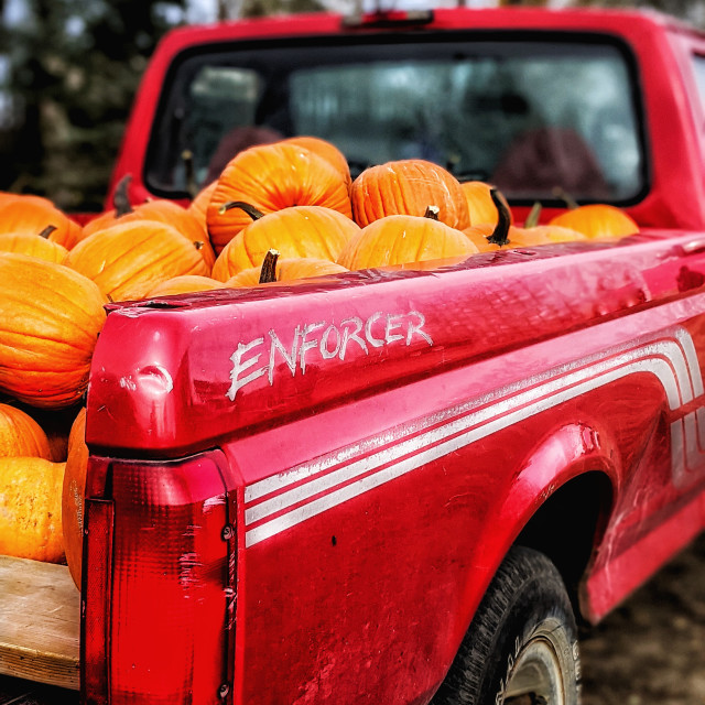 "Pickup of pumpkins" by MLLL Photography - $11.41 "Pickup of pumpkins" stock image