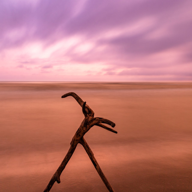 "Trunk at dawn at sea" by Expvisual Filmmaking and Photography SAS de CV - $17.28 "Trunk at dawn at sea" stock image