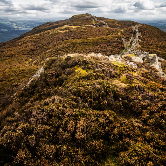 "Lingmoor Fell" stock image