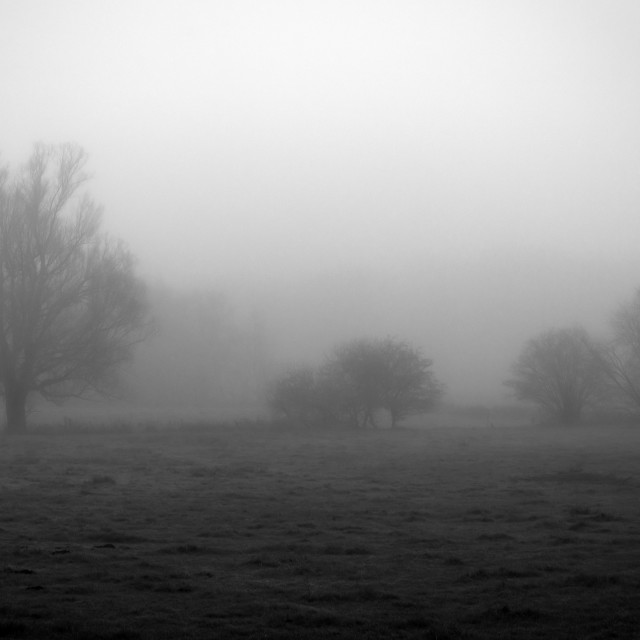 "MISTY LANDSCAPE" by LYDIBERN.ART - £15.00 "MISTY LANDSCAPE" stock image