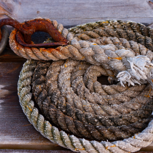 "Coil" by 1968photo - $25.27 "Coil" stock image