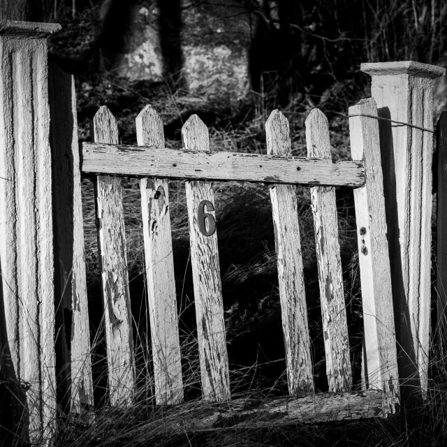 "Wooden gate" stock image