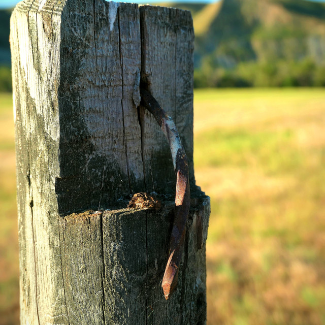 "Rusty nail, broken fence" by MLLL Photography - $11.41 "Rusty nail, broken fence" stock image