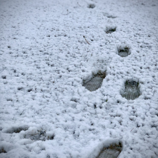 Too cold to walk back License, download or print for £18.60 Photos