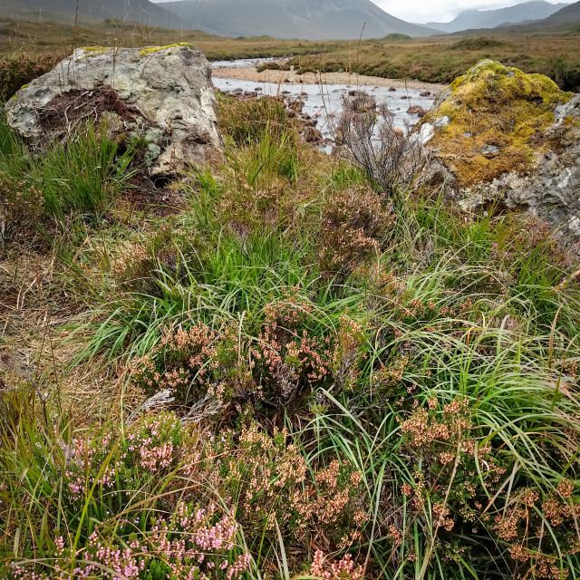 "The Cuillin, Isle of Skye." stock image