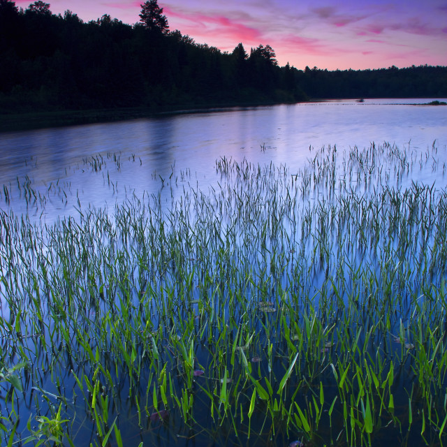 "McDaniel's Marsh Sunrise" stock image