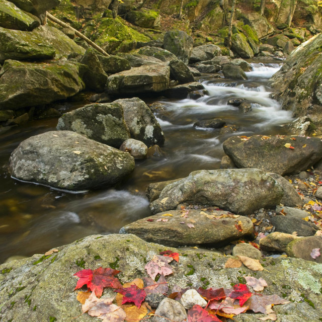 "Fall Color Creek" stock image