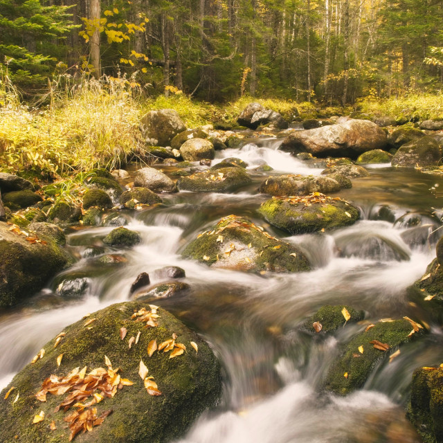 "Jefferson Notch Autumn" stock image