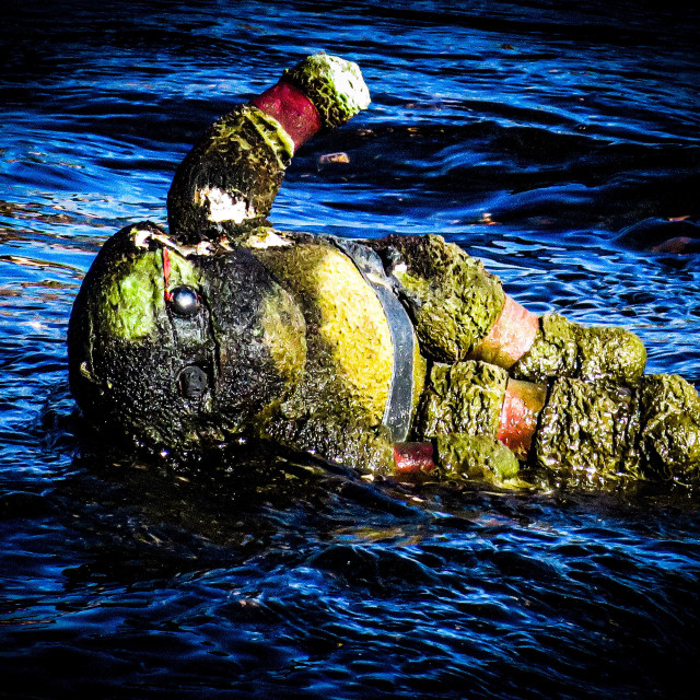 "Drowned Donatello" stock image