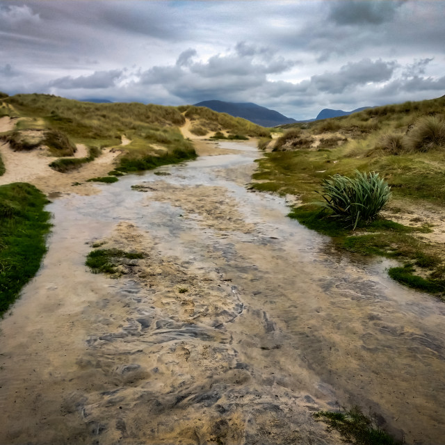 "Stream through the dunes." stock image