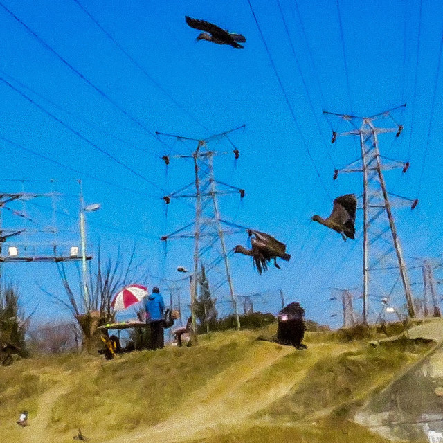 "Street Shop Flyby" stock image