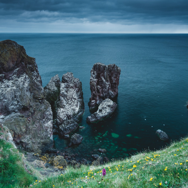 "A stormy North Sea at St. Abb's Head, Scotland" stock image