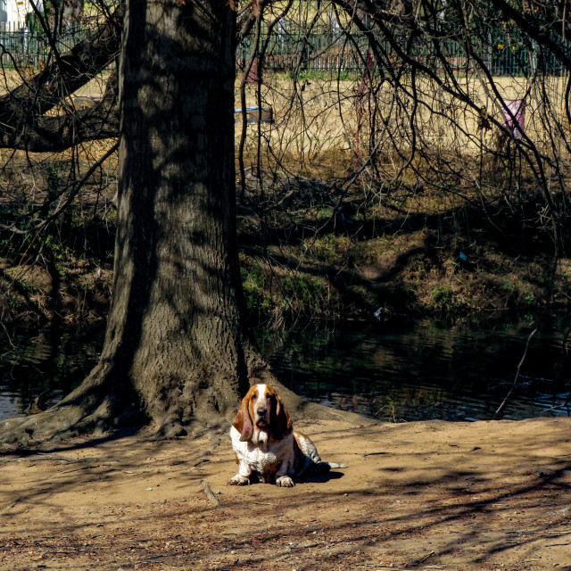 "Lonely" stock image