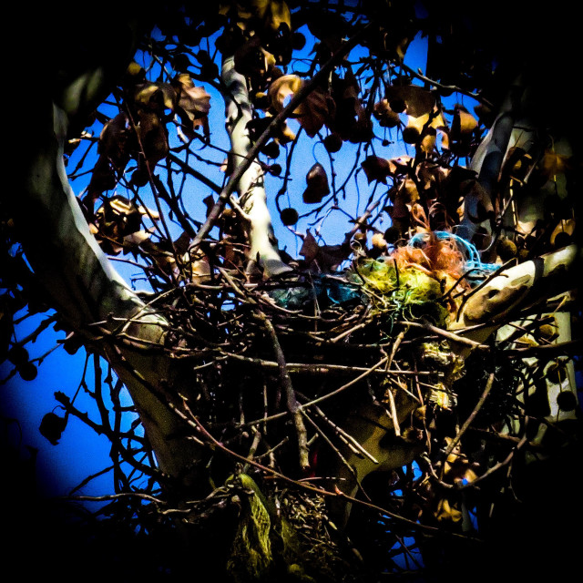 "Nest Plastic Pollution" stock image