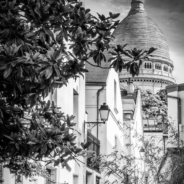 "The Dome of The Basilica of the Sacred Heart of Paris, commonly known as Sacré-Cœur, Monchrome. Seen from the streets of Montmatre" stock image