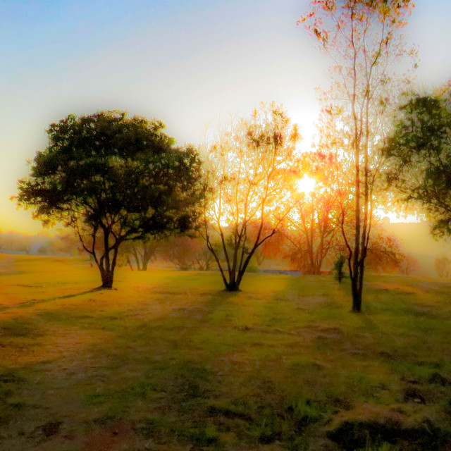 "Misty Sunrise" stock image