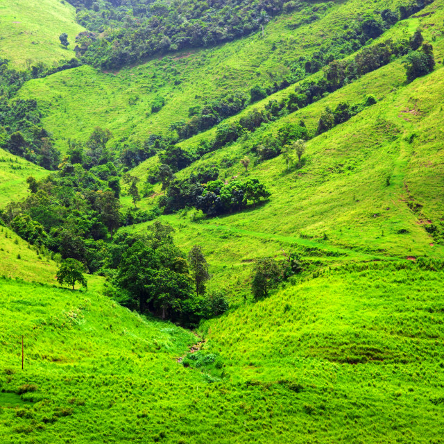 "GREEN VALLEY" by LYDIBERN.ART - £15.00 "GREEN VALLEY" stock image