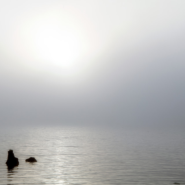 "FOGGY AUTUMN MORNING BY THE LAKE" by LYDIBERN.ART - £15.00 "FOGGY AUTUMN MORNING BY THE LAKE" stock image
