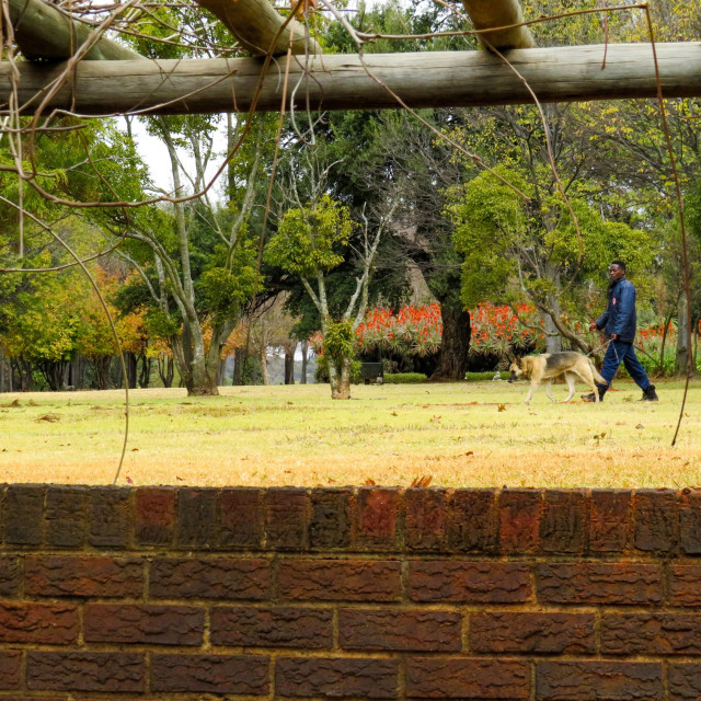 "Johannesburg Botanical Gardens" stock image