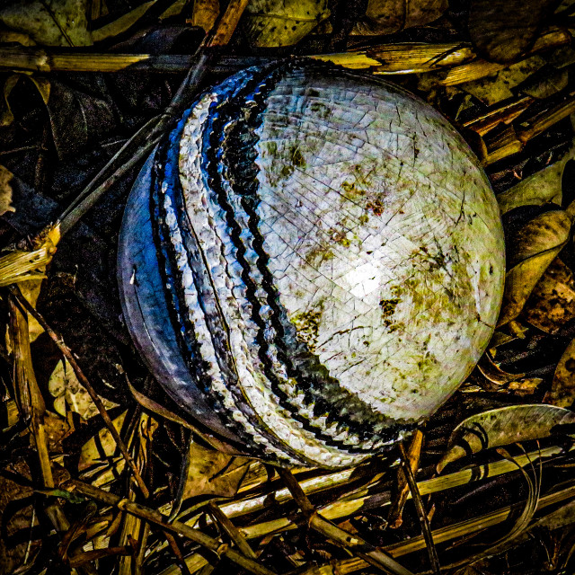 "Sport Pollution" stock image