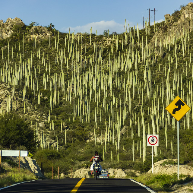 "Road to Zapotitlan de las Salinas" by Expvisual Filmmaking and Photography SAS de CV - $3.63 "Road to Zapotitlan de las Salinas" stock image