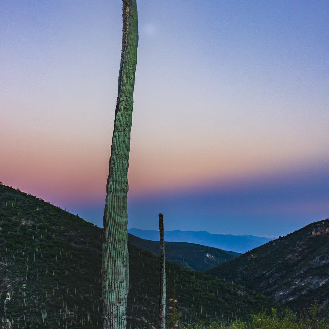 "Sunset in Zapotitlan III" by Expvisual Filmmaking and Photography SAS de CV - $3.63 "Sunset in Zapotitlan III" stock image