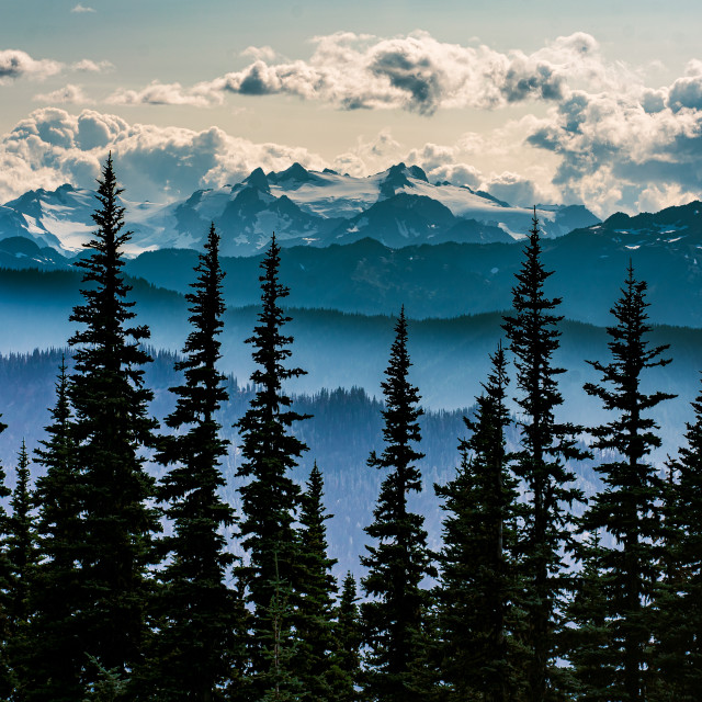 "The Trees gaze at Olympus" stock image