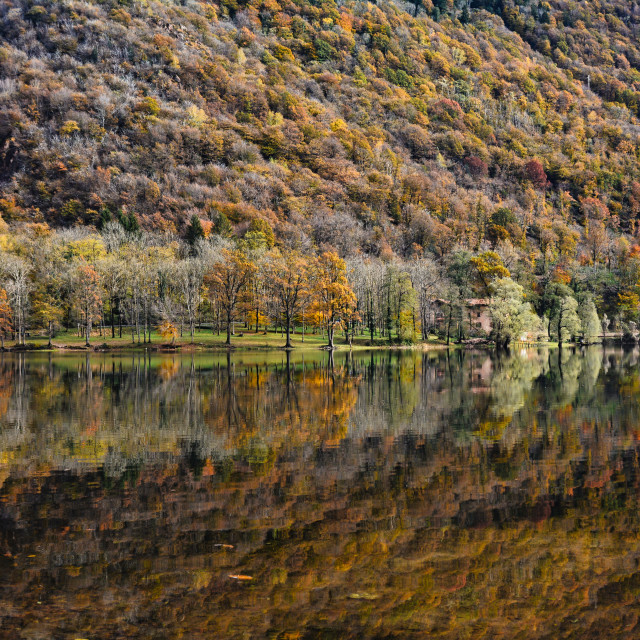 "reflections on a lake in fall" stock image