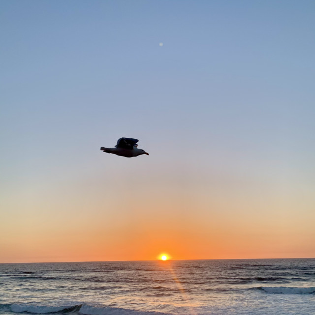 "Sunset" by RAD Photography - £9.00 "Sunset" stock image